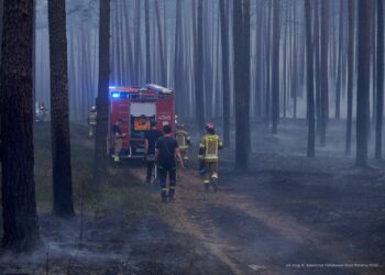 Koniec akcji gaśniczej w Puszczy Solskiej. Spłonęło kilkaset hektarów lasu