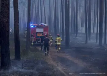 Koniec akcji gaśniczej w Puszczy Solskiej. Spłonęło kilkaset hektarów lasu