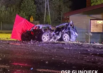 Trudna akcja strażaków po wypadku na DK60. Dwie osoby nie żyją