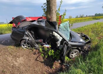 Wypadek na lokalnej drodze. 19-latka nie miała szans