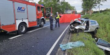 Wypadek na drodze krajowej nr 22. Tragiczne skutki