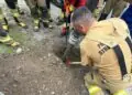 Strażacy uratowali psa uwięzionego w przepuście drogowym