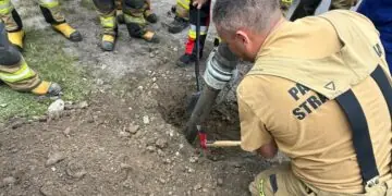 Strażacy uratowali psa uwięzionego w przepuście drogowym