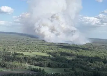 Duży pożar lasu pod Warszawą. W akcji Dromadery i Black Hawk