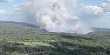 Duży pożar lasu pod Warszawą. W akcji Dromadery i Black Hawk