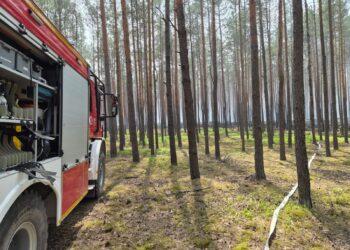 Pożar lasów na Mazowszu. W działania zaangażowano blisko 1300 strażaków