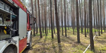 Pożar lasów na Mazowszu. W działania zaangażowano blisko 1300 strażaków