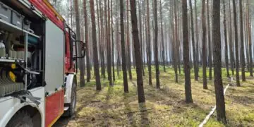 Pożar lasów na Mazowszu. W działania zaangażowano blisko 1300 strażaków