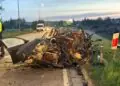 Wypadek na DW645 w Morgownikach. Kierowca ciężko ranny