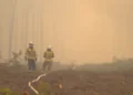 Ze środka pożaru. Leśnicy o walce z ogniem [FILM]