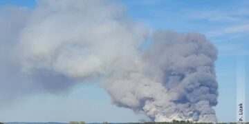 Duży pożar lasu w powiecie biłgorajskim