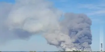 Duży pożar lasu w powiecie biłgorajskim