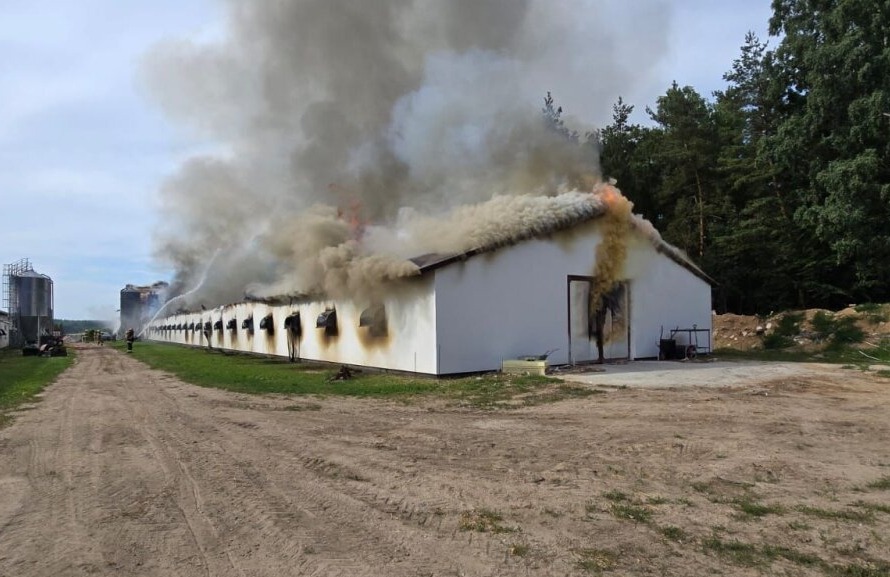 W Kobysewie płonie kurnik. Strażacy walczą z ogniem